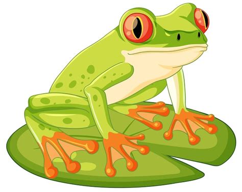 frog clipart|Frog Clipart Images – Browse 20,000 Stock Photos, Vectors, and .